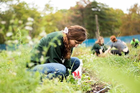 Students work in a field at Eden Hall Campus